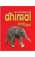 My First Book of Animal Babies