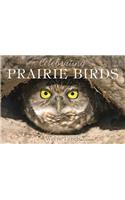 Celebration of Prairie Birds