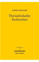 Uberindividueller Rechtsschutz