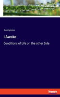 I Awoke: Conditions of Life on the other Side
