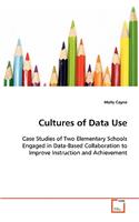 Cultures of Data Use