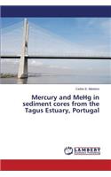 Mercury and Mehg in Sediment Cores from the Tagus Estuary, Portugal