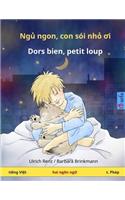 Nyuu nyong, kong shoi nyo oy - Dors bien, petit loup. Bilingual Children's Book (Vietnamese - French)
