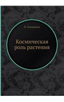 &#1050;&#1086;&#1089;&#1084;&#1080;&#1095;&#1077;&#1089;&#1082;&#1072;&#1103; &#1088;&#1086;&#1083;&#1100; &#1088;&#1072;&#1089;&#1090;&#1077;&#1085;&#1080;&#1103;