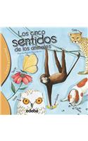 Los Cinco Sentidos de Los Animales