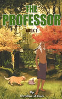 Professor
