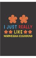 I Just Really Like Norwegian Elkhound
