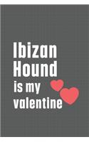 Ibizan Hound is my valentine: For Ibizan Hound Dog Fans