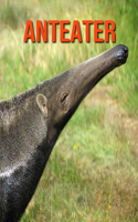 Anteater: Learn About Anteater and Enjoy Colorful Pictures