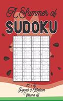 A Summer of Sudoku 16 x 16 Round 3: Medium Volume 15: Relaxation Sudoku Travellers Puzzle Book Vacation Games Japanese Logic Number Mathematics Cross Sums Challenge 16 x 16 Grid Beginn