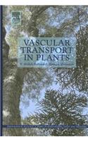 Vascular Transport in Plants