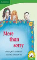 More than sorry More than sorry