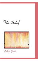 Orchid