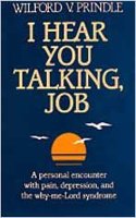 I Hear You Talking, Job
