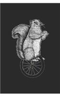 Squirrel Unicycle