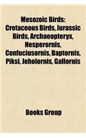 Mesozoic Birds: Cretaceous Birds, Jurassic Birds, Archaeopteryx, Hesperornis, Confuciusornis, Baptornis, Piksi, Jeholornis, Gallornis