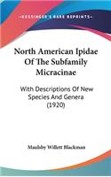 North American Ipidae of the Subfamily Micracinae