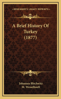 Brief History Of Turkey (1877)