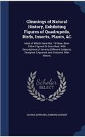 Gleanings of Natural History, Exhibiting Figures of Quadrupeds, Birds, Insects, Plants, &C