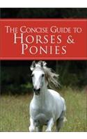 A Concise Guide To Hores & Ponies