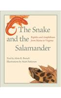 The Snake and the Salamander