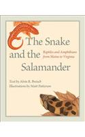 Snake and the Salamander