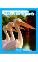 A Zoo Full of Birds