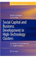 Social Capital and Business Development in High-Technology Clusters