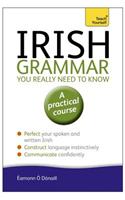 Irish Grammar You Really Need to Know: Teach Yourself
