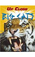 Big Cats