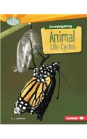 Investigating Animal Life Cycles
