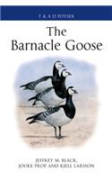 The Barnacle Goose