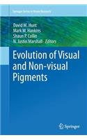 Evolution of Visual and Non-Visual Pigments