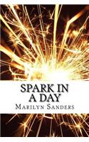 Spark In a Day