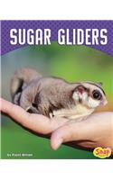 Sugar Gliders