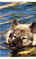 Eurasian Dog Breed Notebook