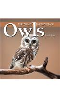Exploring the World of Owls