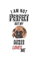 I'm not perfect, but my Boxer loves me