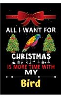 All I want for Christmas is more time with my Bird