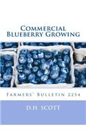 Commercial Blueberry Growing