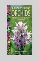 Guide to Finding Orchids in Berkshire, Buckinghamshire and O