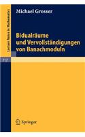 Bidualräume und Vervollständigungen von Banachmoduln