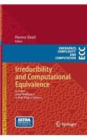 Irreducibility and Computational Equivalence: 10 Years After Wolfram's A New Kind of Science(2 Emergence, Complexity and Computation)