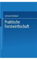Praktische Forstwirthschaft