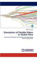 Simulation of Flexible Fibers in Stokes Flow