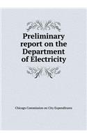 Preliminary Report on the Department of Electricity