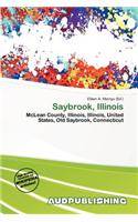 Saybrook, Illinois