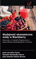 Wydajnośc ekonomiczna wody w Blackberry