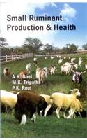 Small Ruminant Production & Health