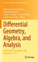 Differential Geometry, Algebra, and Analysis